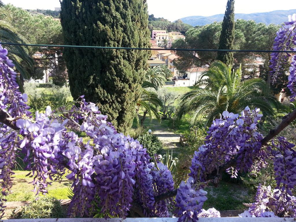 Villa San Giuseppe ポルト・アッズッロ エクステリア 写真