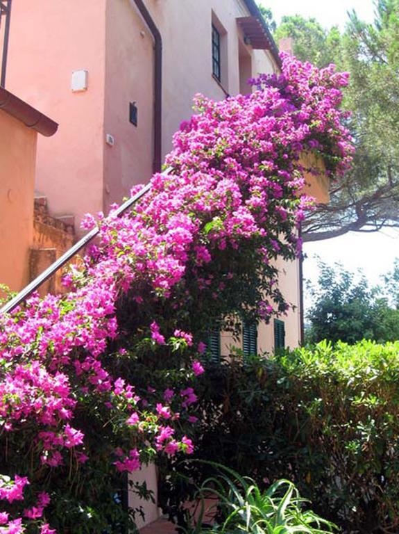 Villa San Giuseppe ポルト・アッズッロ エクステリア 写真